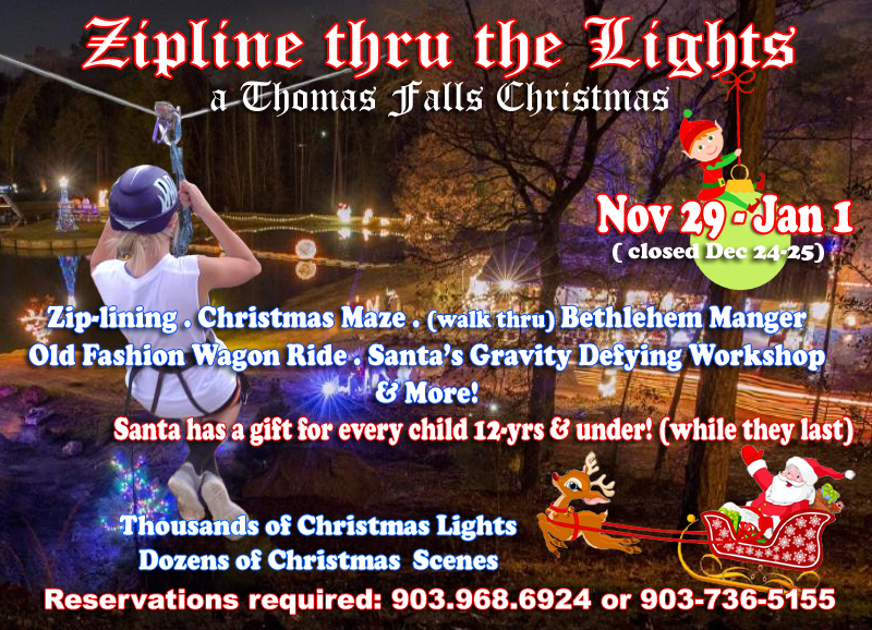 Zipline Thru The Lights